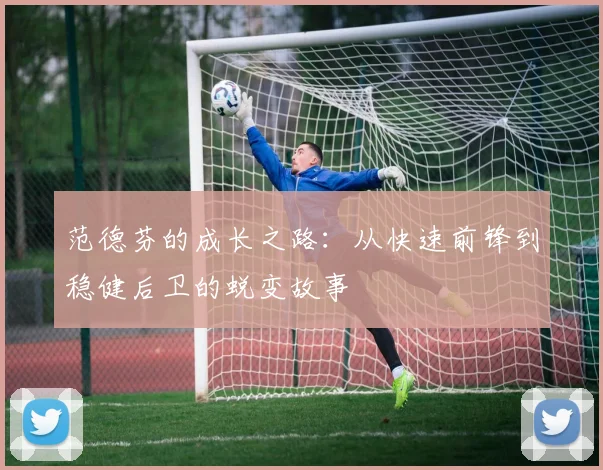 范德芬的成长之路：从快速前锋到稳健后卫的蜕变故事